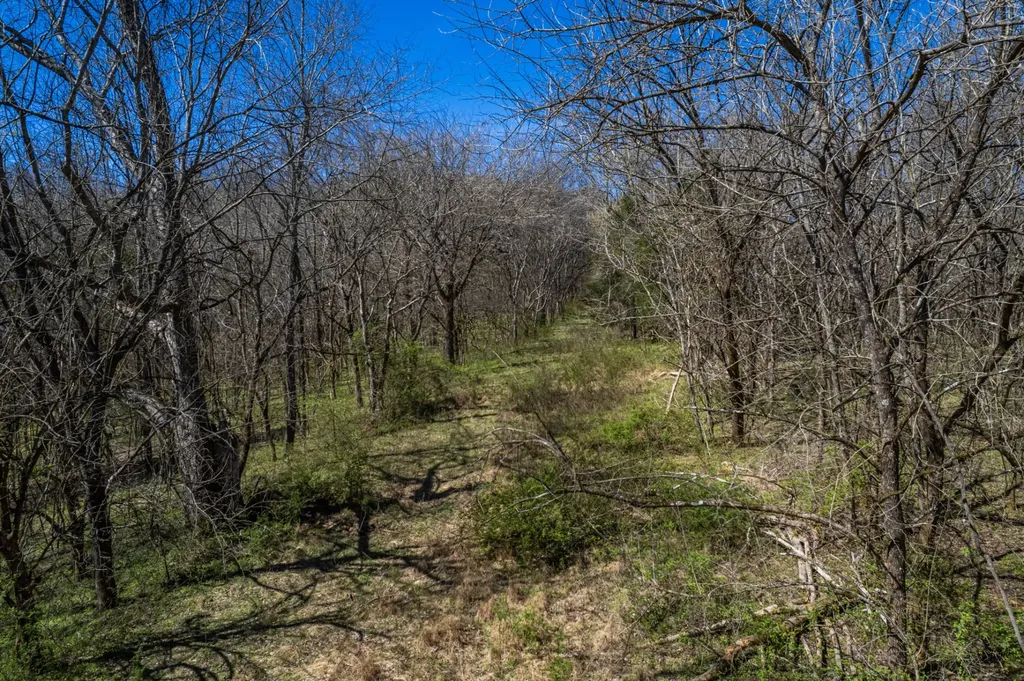 0 Dowell Branch Road Columbia TN 38401