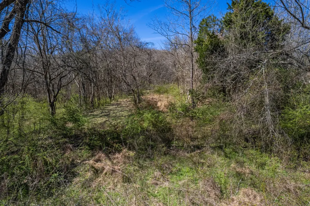 0 Dowell Branch Road Columbia TN 38401