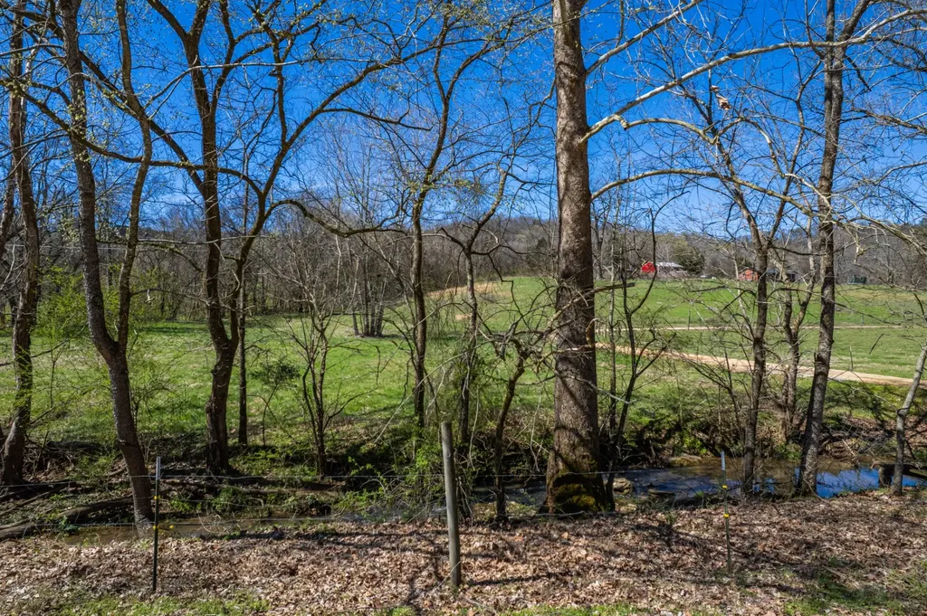 0 Dowell Branch Road Columbia TN 38401