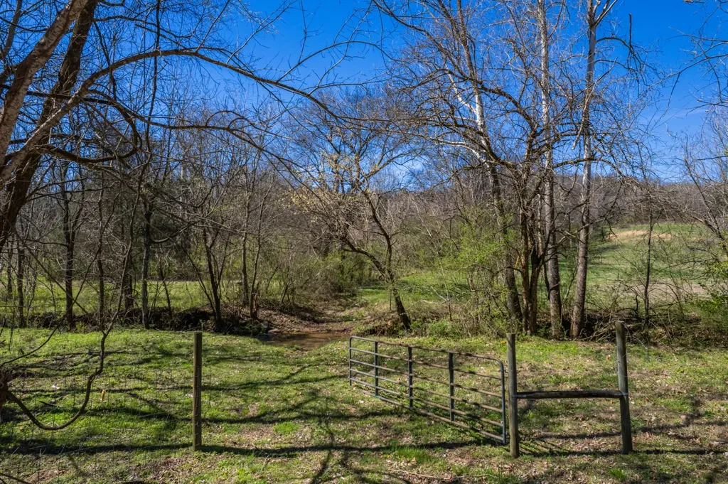 0 Dowell Branch Road Columbia TN 38401