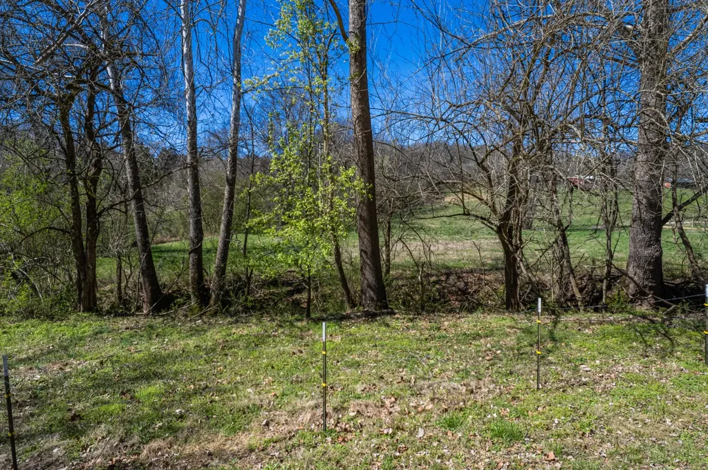0 Dowell Branch Road Columbia TN 38401
