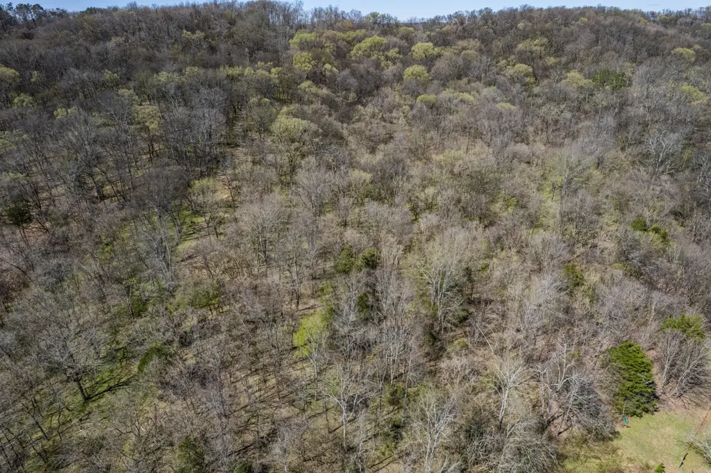 0 Dowell Branch Road Columbia TN 38401