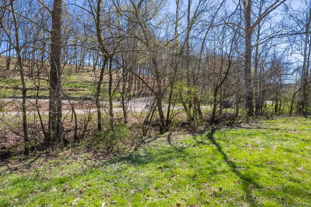 0 Dowell Branch Road Columbia TN 38401