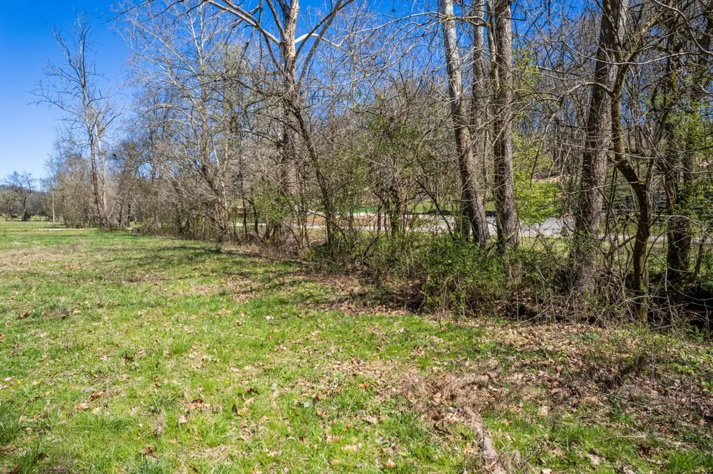 0 Dowell Branch Road Columbia TN 38401