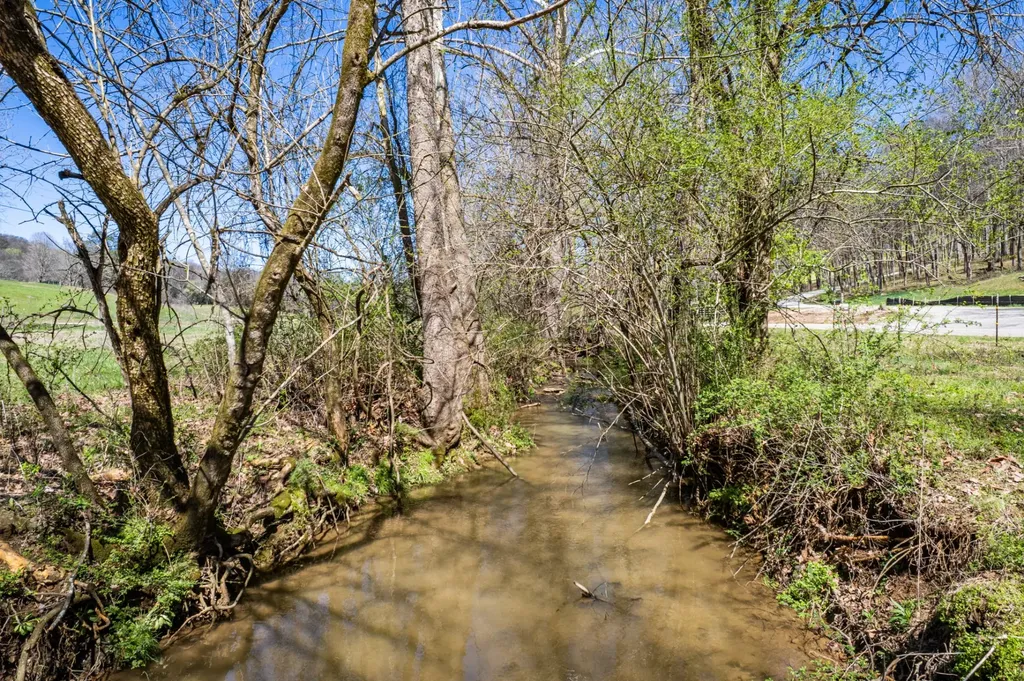 0 Dowell Branch Road Columbia TN 38401