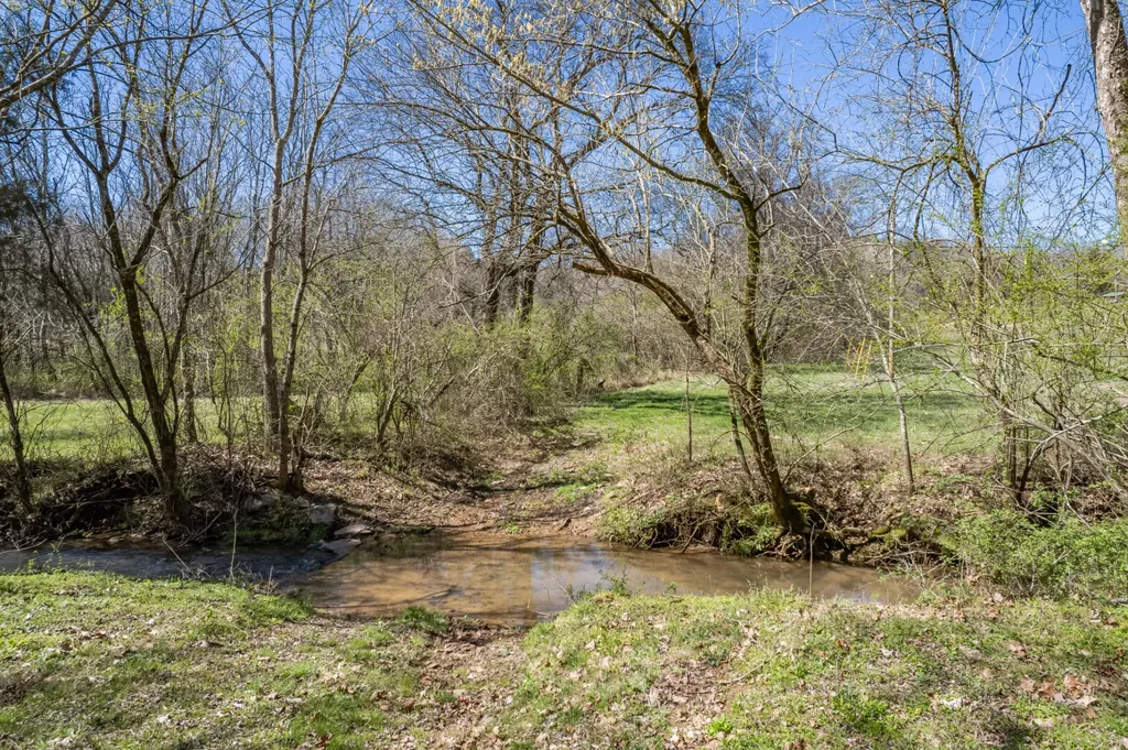 0 Dowell Branch Road Columbia TN 38401