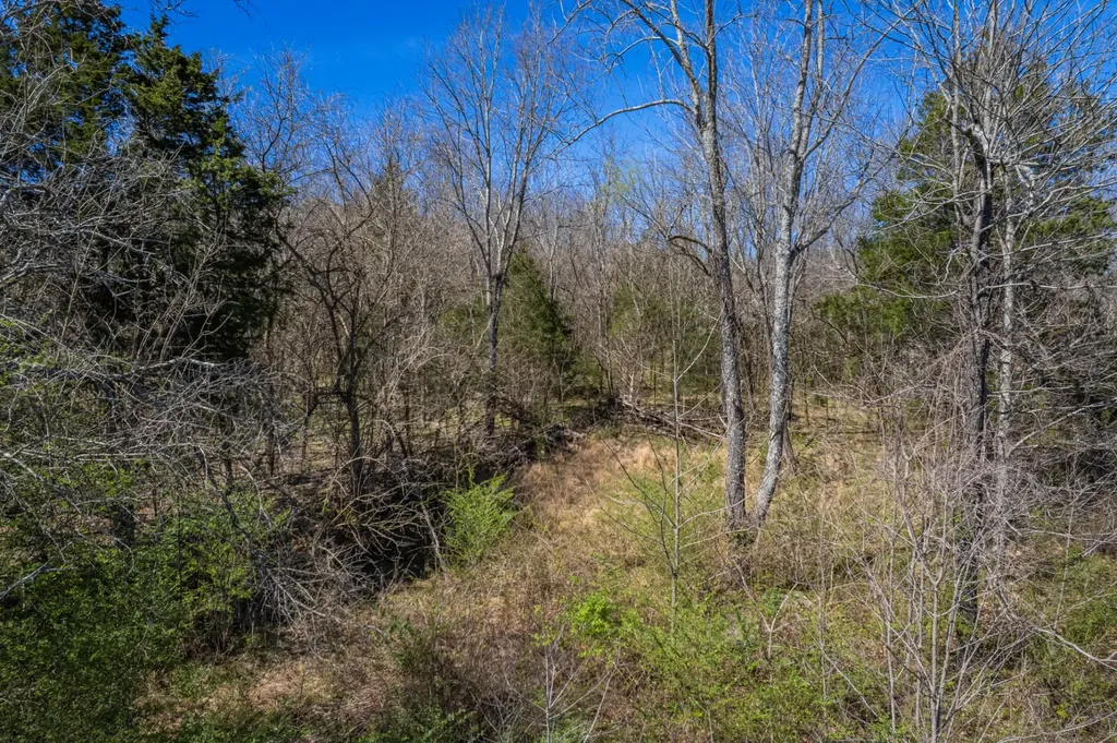 0 Dowell Branch Road Columbia TN 38401