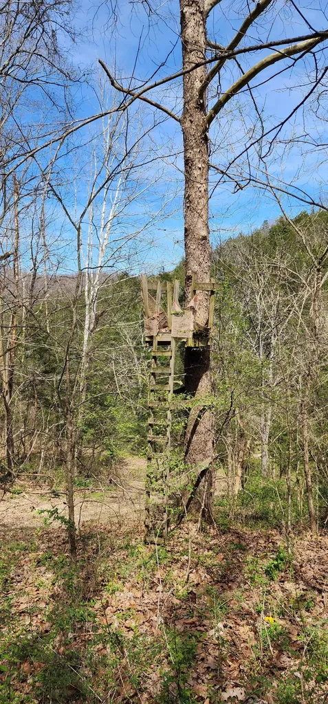950 Chapman Hollow Road Dowelltown TN 37059