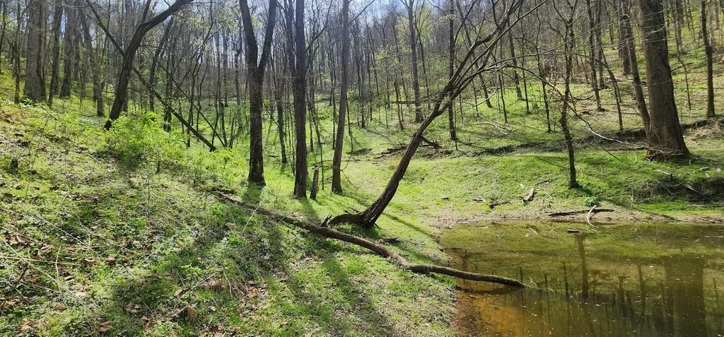 950 Chapman Hollow Road Dowelltown TN 37059