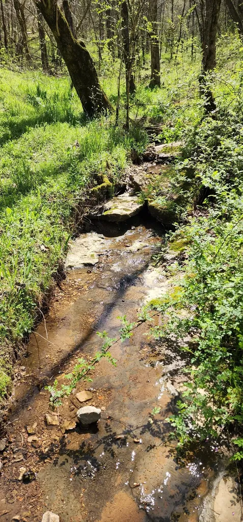 950 Chapman Hollow Road Dowelltown TN 37059