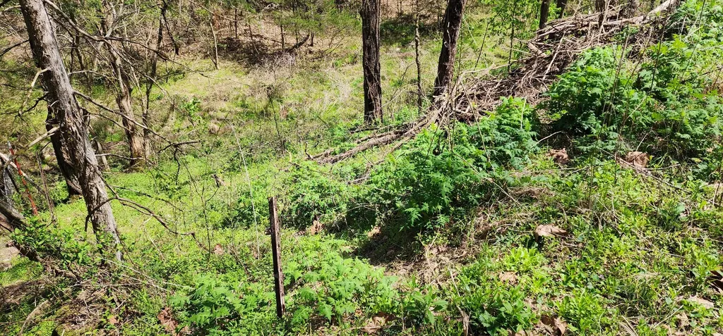 950 Chapman Hollow Road Dowelltown TN 37059