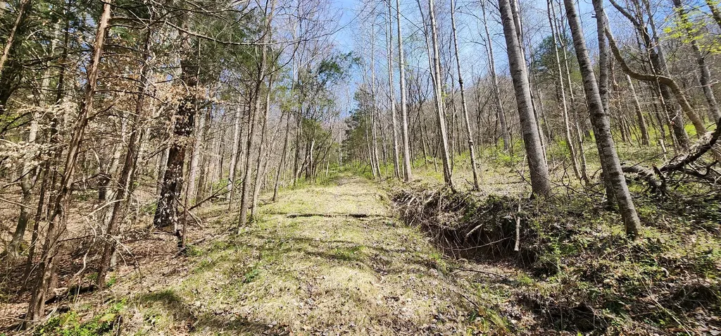 950 Chapman Hollow Road Dowelltown TN 37059