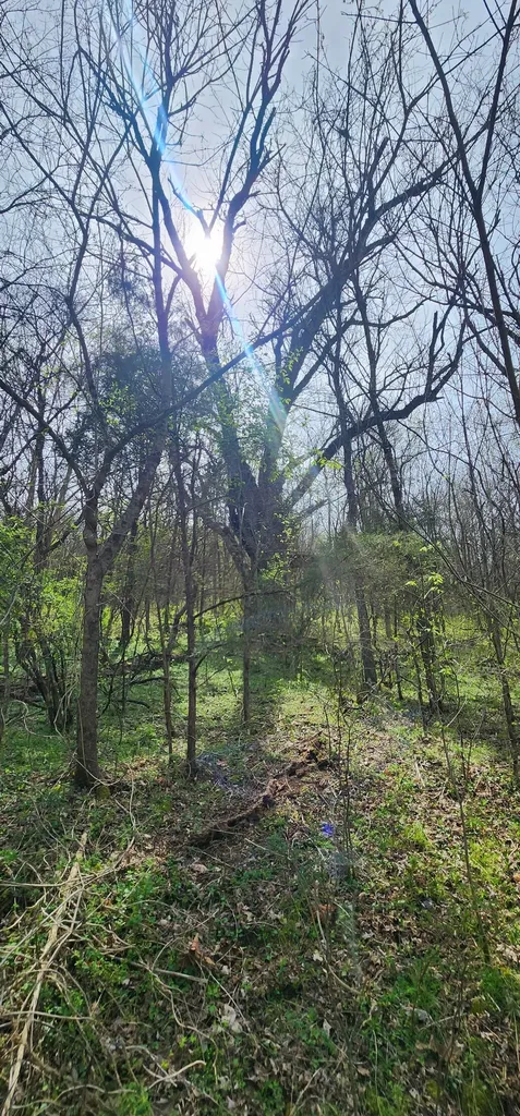 950 Chapman Hollow Road Dowelltown TN 37059