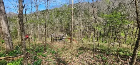 950 Chapman Hollow Road Dowelltown TN 37059