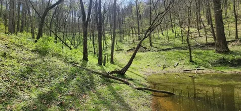 950 Chapman Hollow Road Dowelltown TN 37059