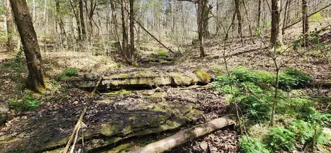 950 Chapman Hollow Road Dowelltown TN 37059