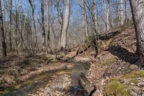 1300 New Sheboss Road Duck River TN 38454