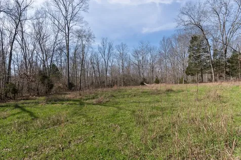 1300 New Sheboss Road Duck River TN 38454