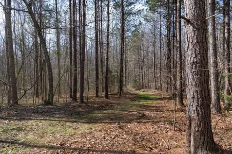 1300 New Sheboss Road Duck River TN 38454