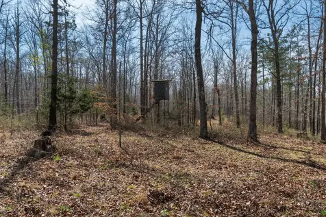 1300 New Sheboss Road Duck River TN 38454