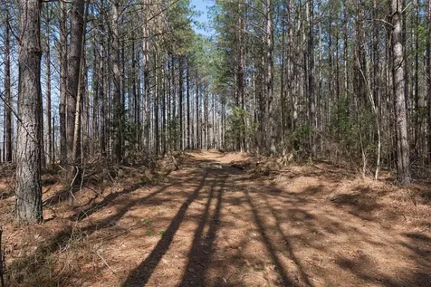 1300 New Sheboss Road Duck River TN 38454