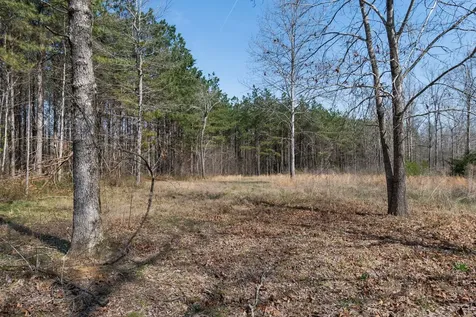 1300 New Sheboss Road Duck River TN 38454
