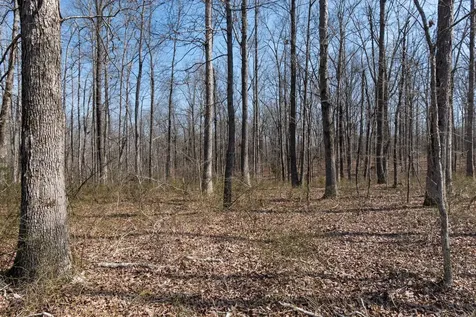 1300 New Sheboss Road Duck River TN 38454