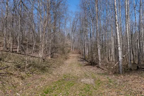 1300 New Sheboss Road Duck River TN 38454