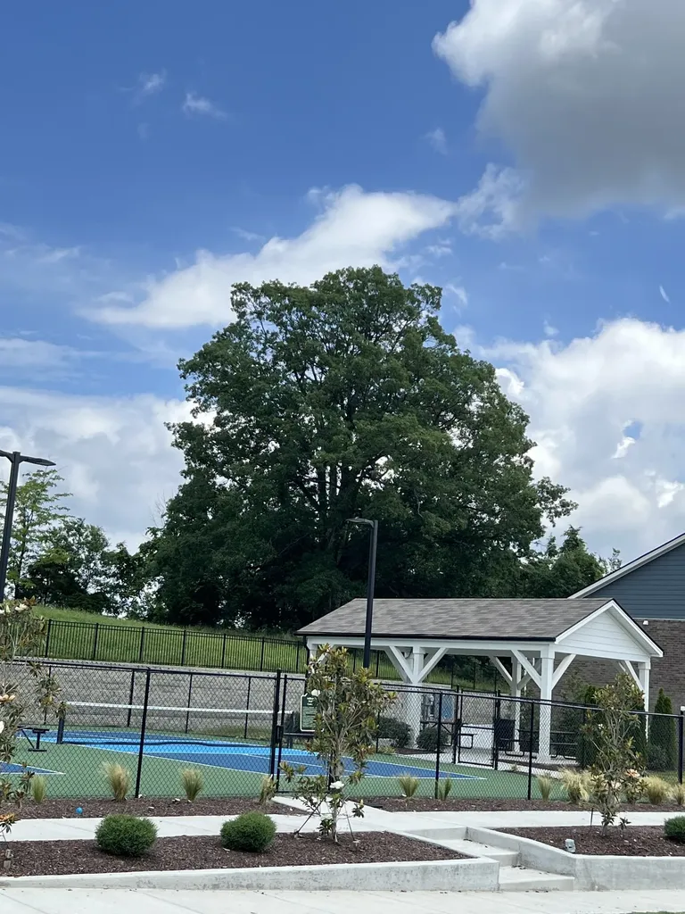 266 Redhead Lane Lebanon TN 37090