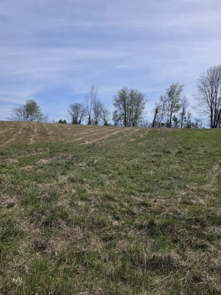 0 Hancock Drive Morrison TN 37357