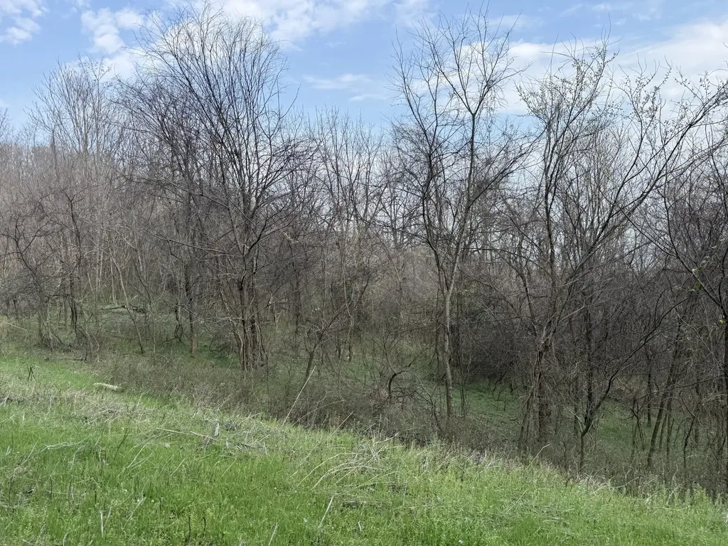 0 Ed Seay Gregory Lane Hartsville TN 37074