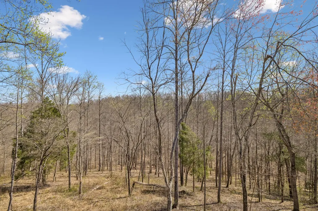 4134 Algie Sewell Road Columbia TN 38401