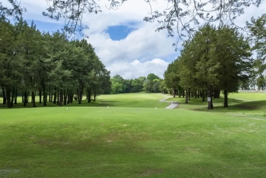176 Nashboro Greens Nashville TN 37217