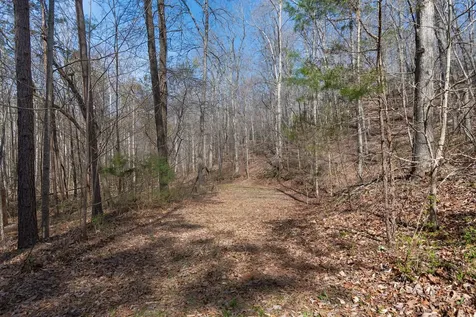 1300 New Sheboss Road Duck River TN 38454