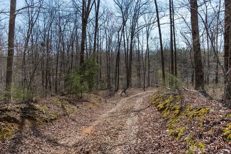 1300 New Sheboss Road Duck River TN 38454