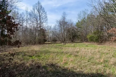1300 New Sheboss Road Duck River TN 38454