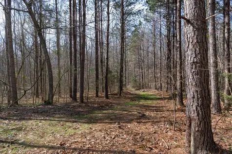 1300 New Sheboss Road Duck River TN 38454