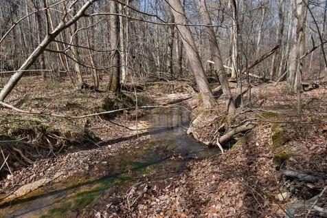 1300 New Sheboss Road Duck River TN 38454