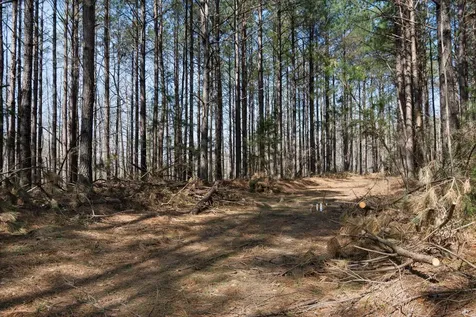 1300 New Sheboss Road Duck River TN 38454
