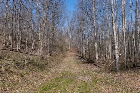 1300 New Sheboss Road Duck River TN 38454