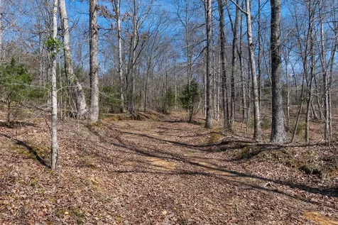 1300 New Sheboss Road Duck River TN 38454