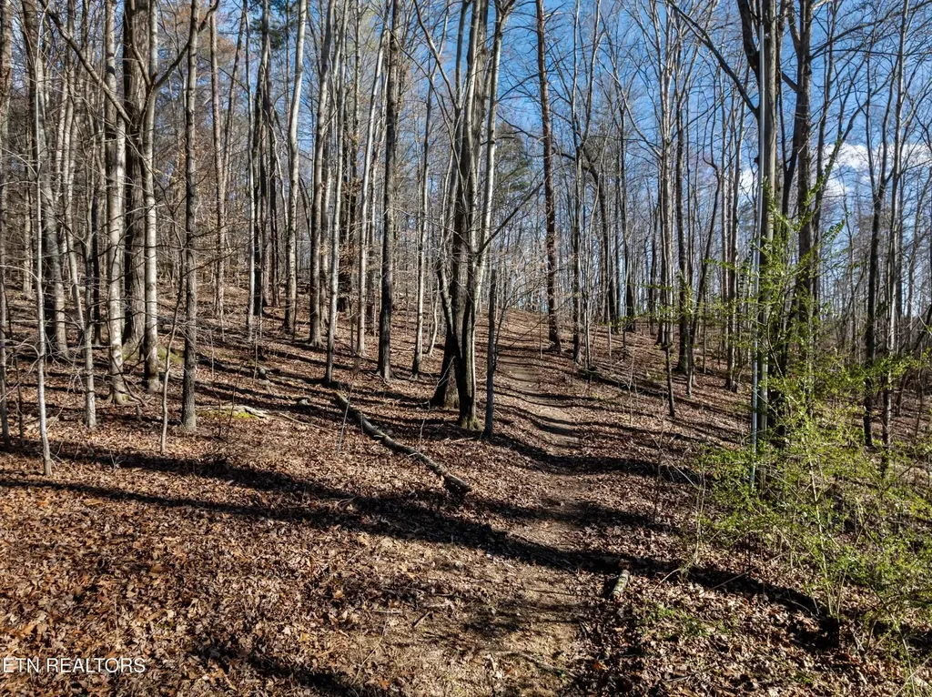 150 Clear Branch Road N Loudon TN 37774