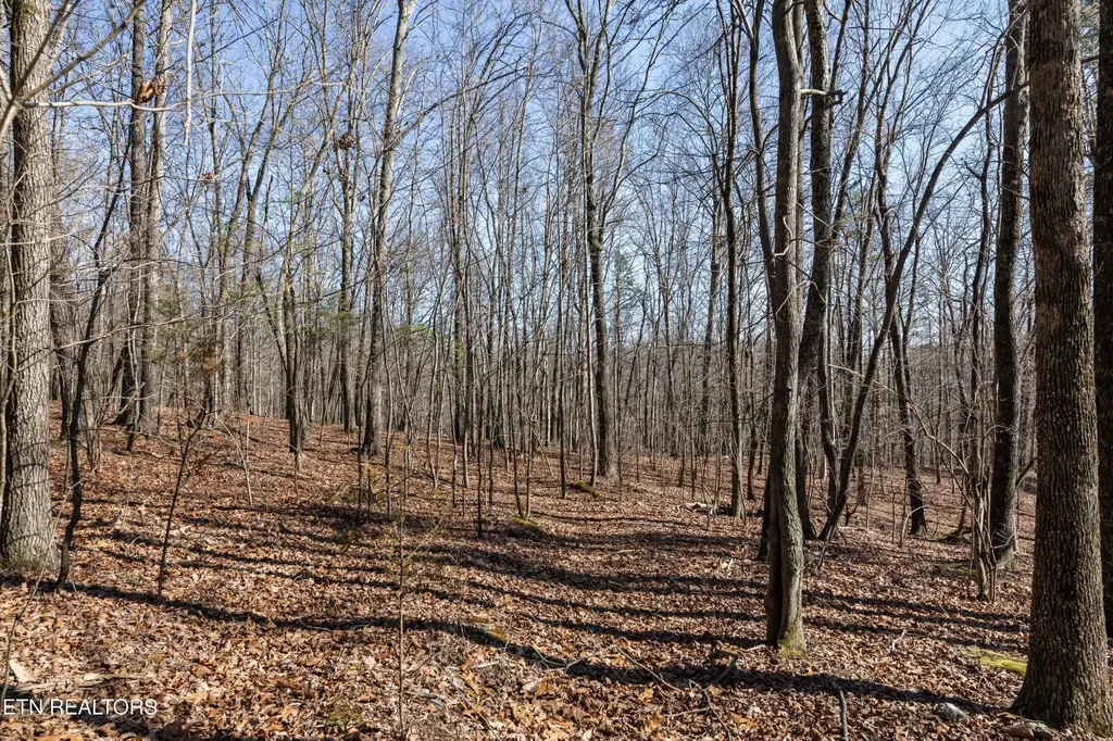 150 Clear Branch Road N Loudon TN 37774