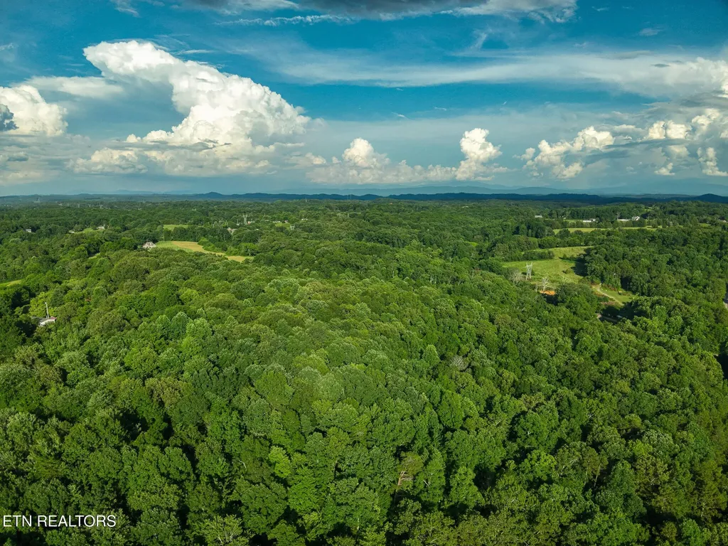 150 Clear Branch Road N Loudon TN 37774