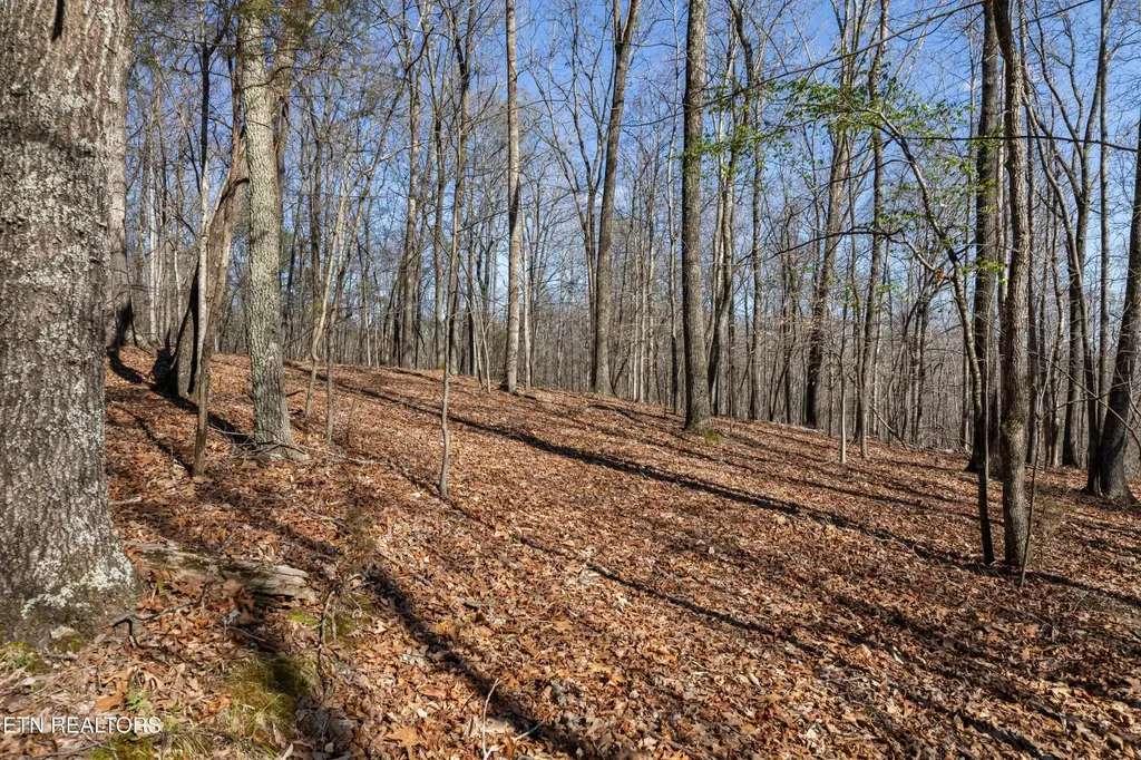 150 Clear Branch Road N Loudon TN 37774
