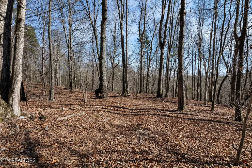150 Clear Branch Road N Loudon TN 37774