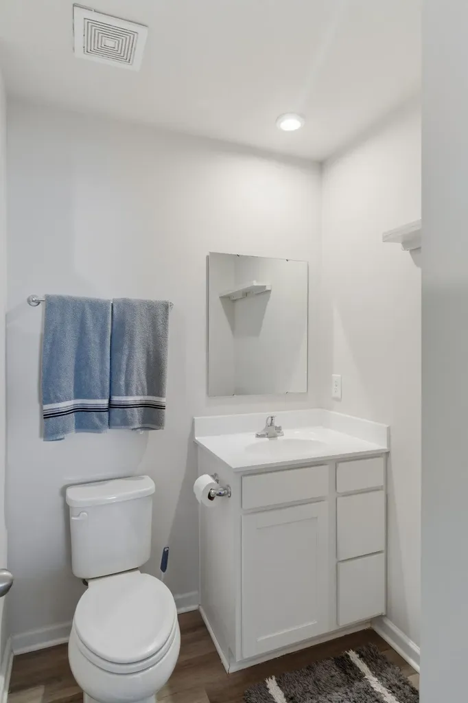 4211 S Downs Circle White House TN 37188