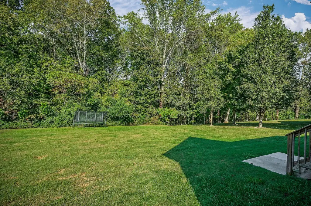158 Briarwood Lane Smithville TN 37166