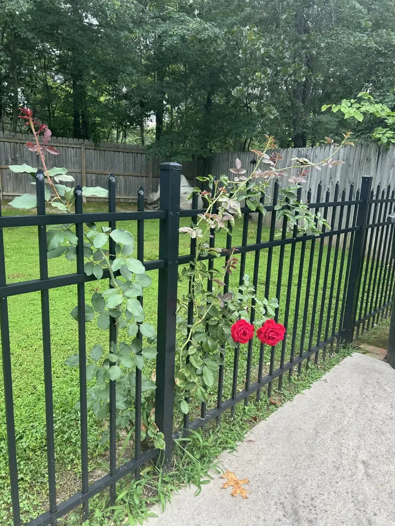 106 Blanton Court Tullahoma TN 37388