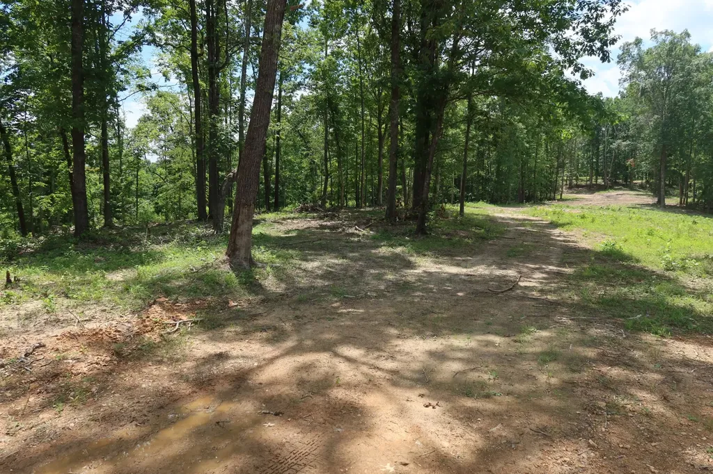 2628 Claylick Road, NE Whites Creek TN 37189